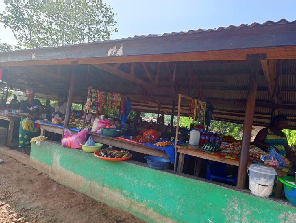 Market Women in Tubmanburg Decry Economic Hardship