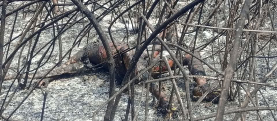 Evangelical Church Pastor Dies While Burning Farm in Kolahun District